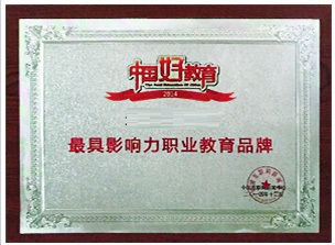 鼎智云天教育荣誉